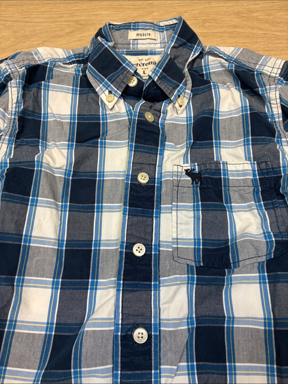 Abercrombie Kids Large Navy and White Plaid Button-Down Shirt - Picture 3 of 5